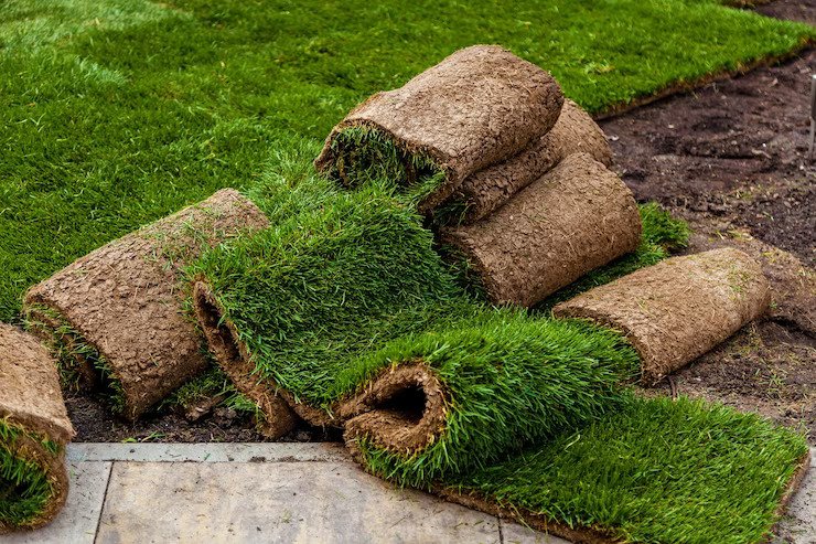  choosing affordable turf supplies