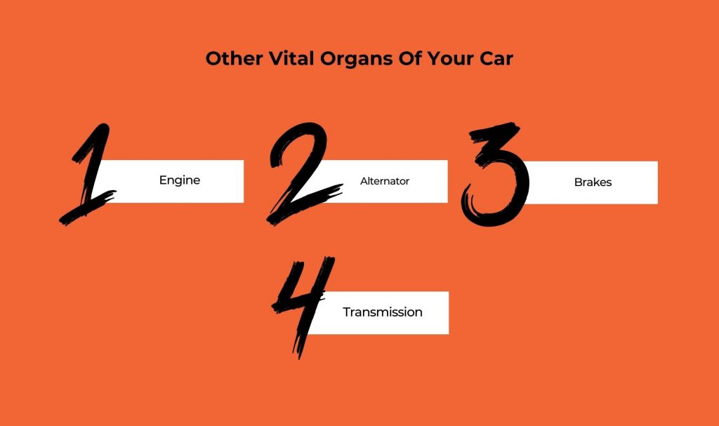 Other Vital Organs Of Your Car