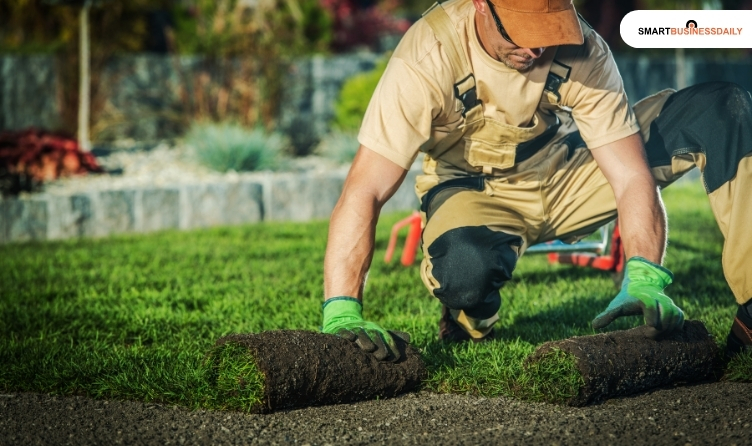 Overall Cost Of Landscaping Business