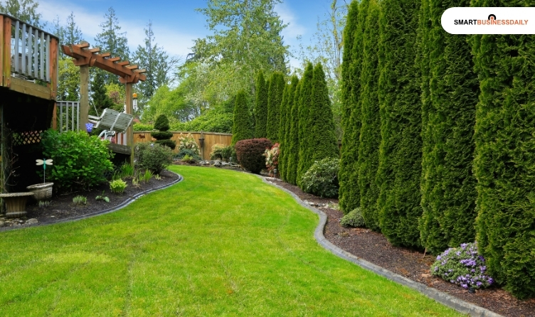 Why Start A Landscaping Business