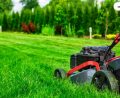 how to start a lawn care business