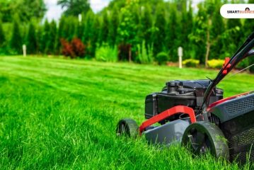 how to start a lawn care business