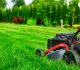 how to start a lawn care business