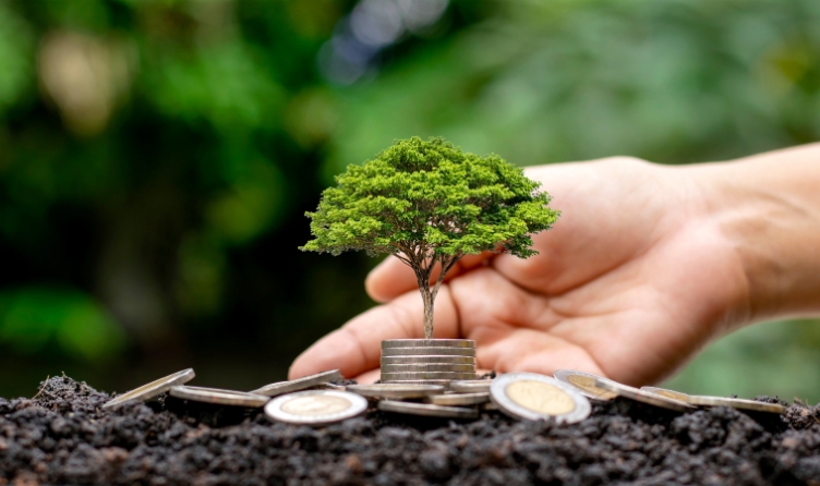 The Relation Between Sustainable Investing & Greenwashing