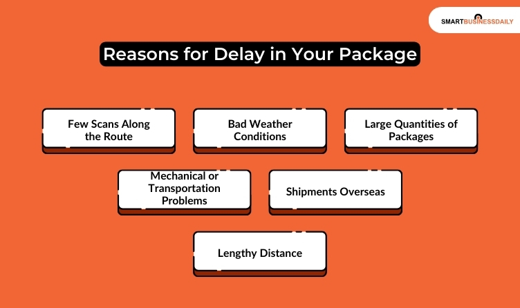 Reasons for Delay in Your Package