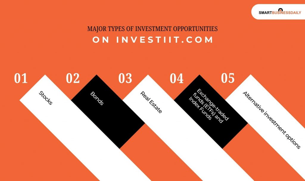 Major Types Of Investment Opportunities On Investiit.Com