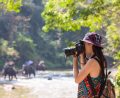 Eurobodalla Wildlife